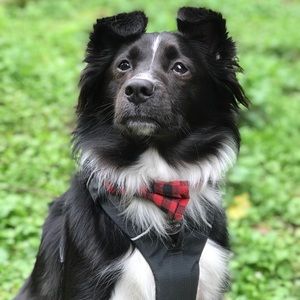 Meet your Posher, Amina